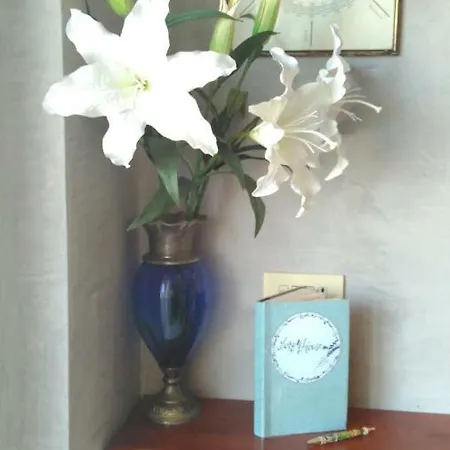 Lory Flat Near Skatepark Fiumicino Airport *